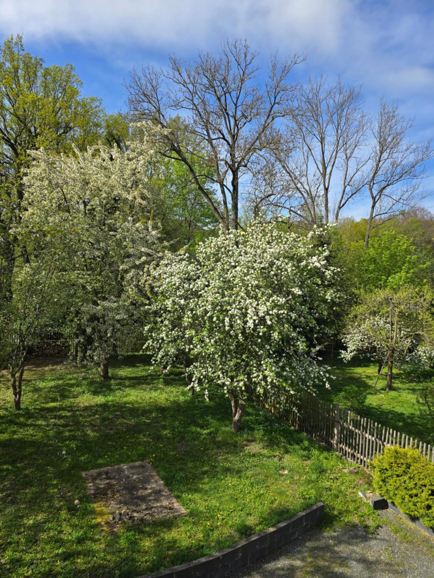 Villa Kuechwald Кемниц Екстериор снимка