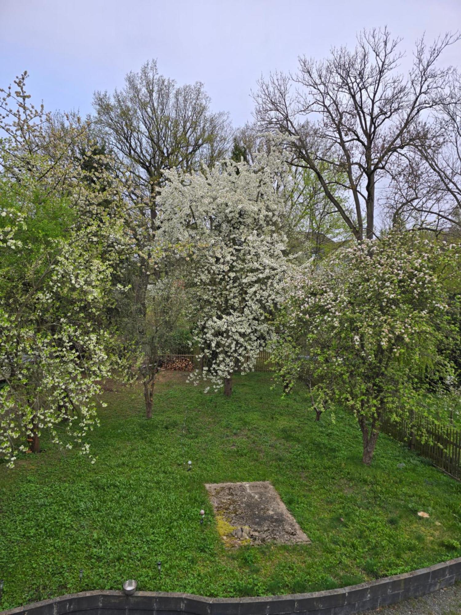Villa Kuechwald Кемниц Екстериор снимка