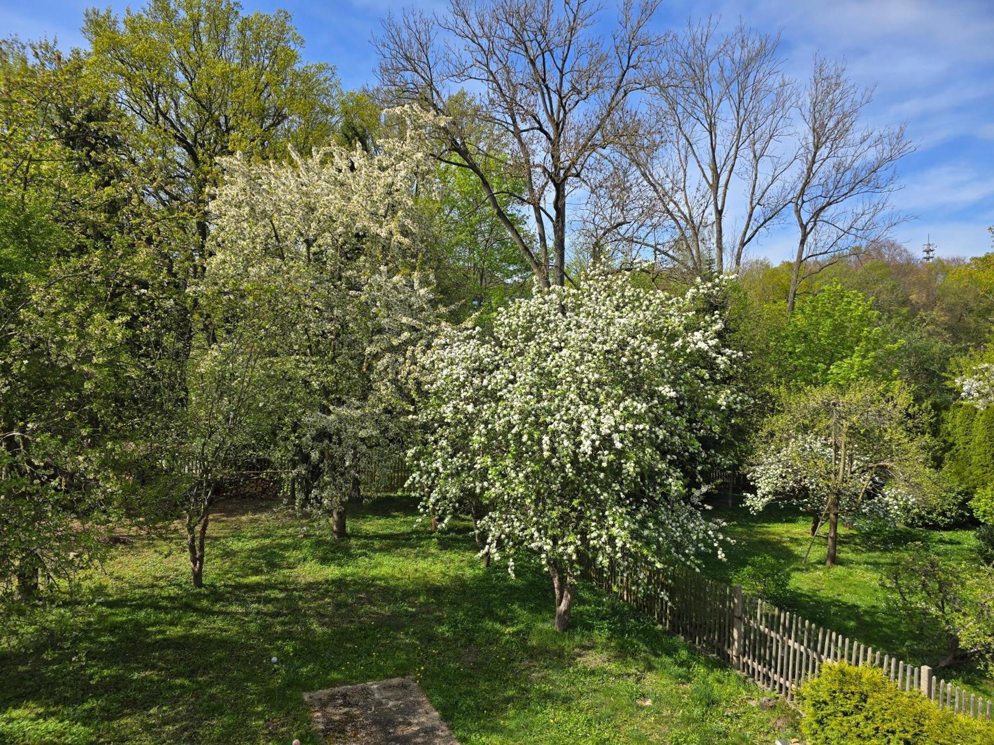 Villa Kuechwald Кемниц Екстериор снимка