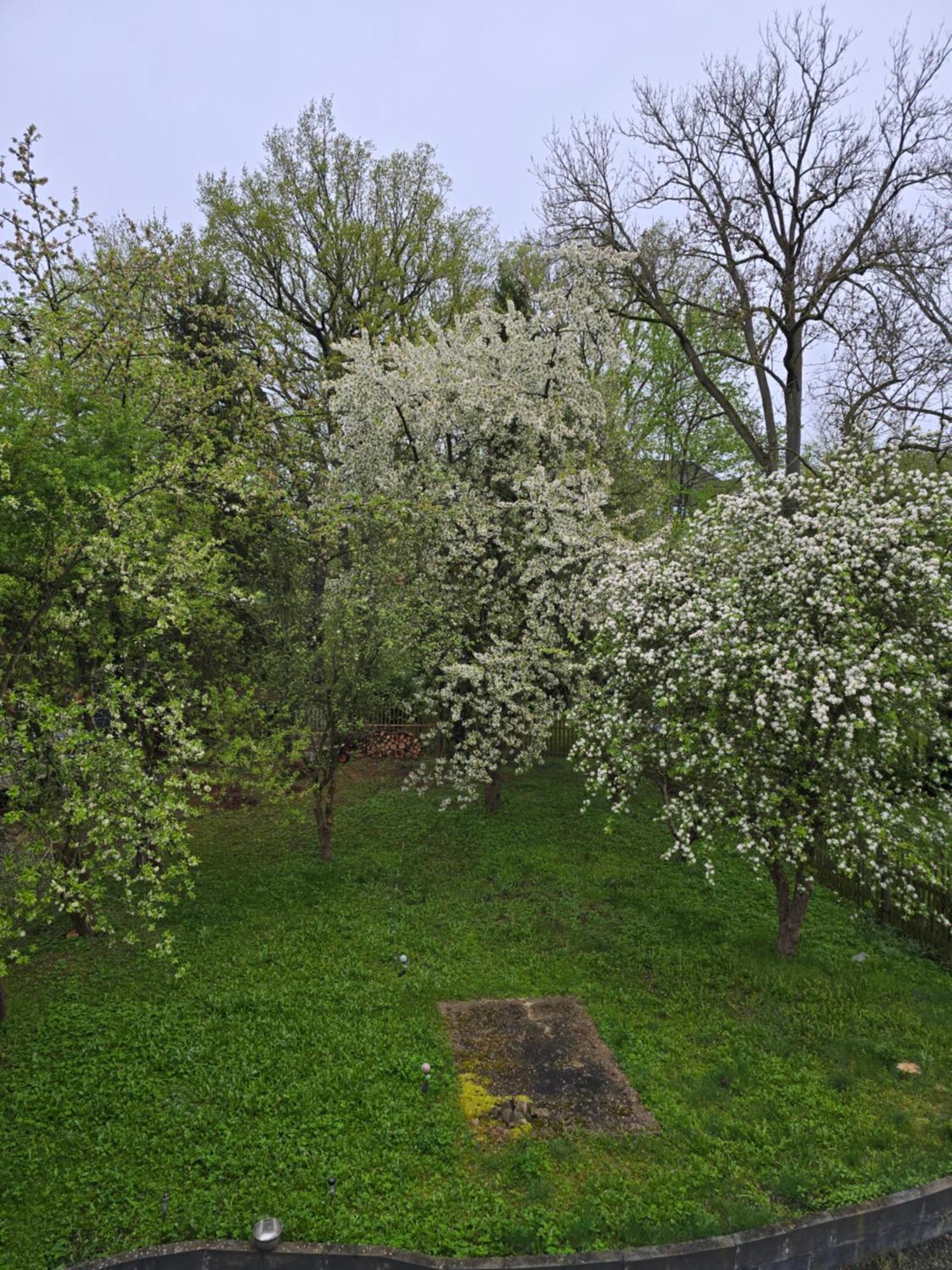 Villa Kuechwald Кемниц Екстериор снимка